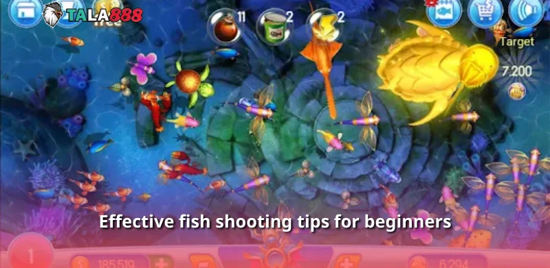 Effective fish shooting tips for beginners