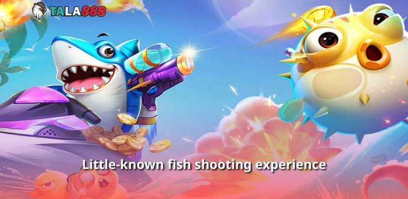 Little-known fish shooting experience